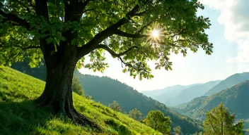 Die musikalische Perspektive auf den Umweltschutz